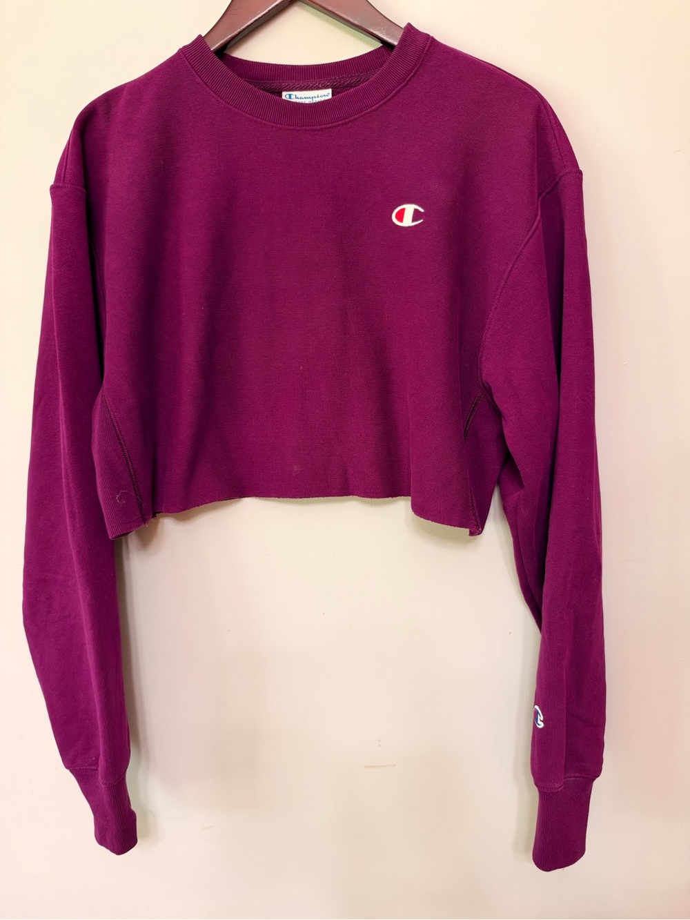 Champion Reverse Weave Cropped Sweatshirt